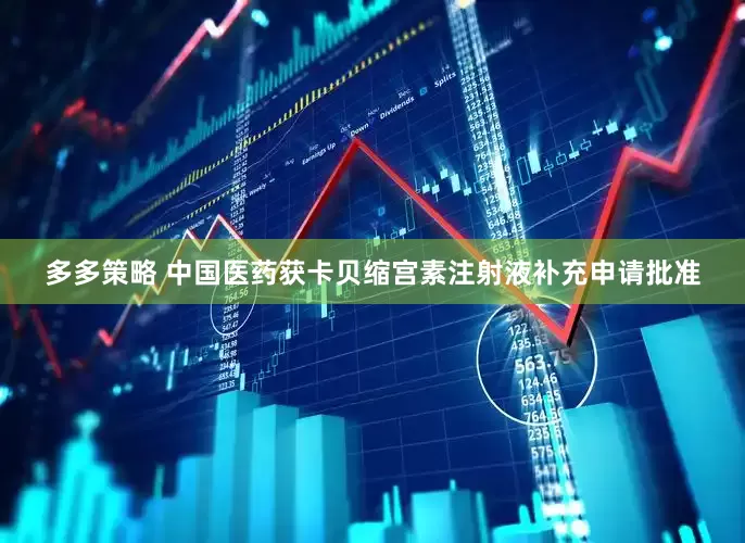 多多策略 中国医药获卡贝缩宫素注射液补充申请批准
