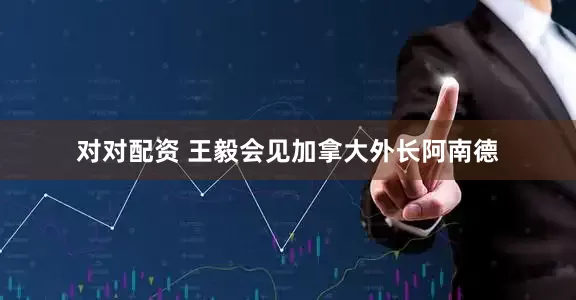 对对配资 王毅会见加拿大外长阿南德